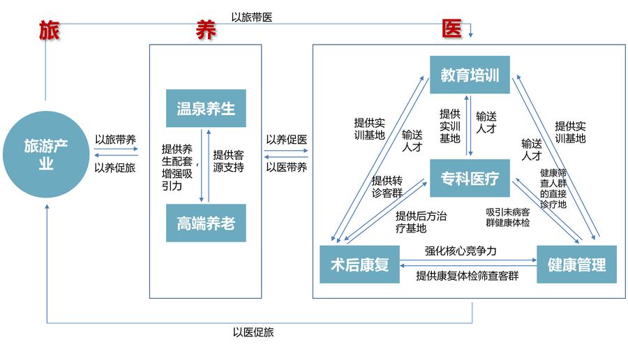 中国光年城健康医疗养生先导产业策划